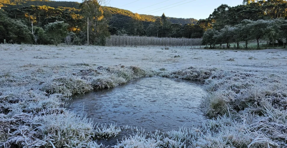 Urupema registra -8°C e geada; frio intenso marca o amanhecer em SC