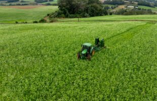 Santa Catarina investe em agricultura sustentável com distribuição de kits para cobertura vegetal