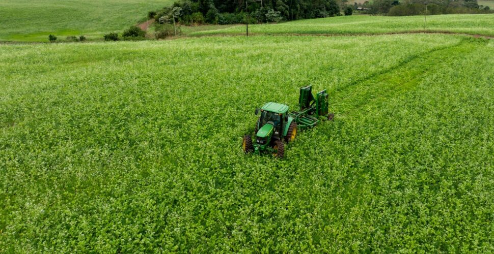 Santa Catarina investe em agricultura sustentável com distribuição de kits para cobertura vegetal