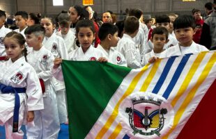 Cocal do Sul recebe atletas de todo o estado e fecha a etapa estadual de karatê com 45 medalhas
