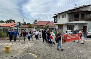 500 mudas doadas e 50 cães vacinados marcam encerramento da Semana do Meio Ambiente em Cocal do Sul