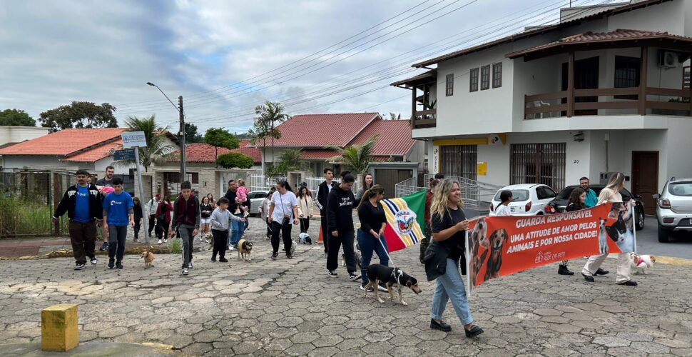 500 mudas doadas e 50 cães vacinados marcam encerramento da Semana do Meio Ambiente em Cocal do Sul