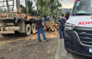 Caminhão carregado com toras de madeira colide com árvores na SC-390 em Lauro Müller
