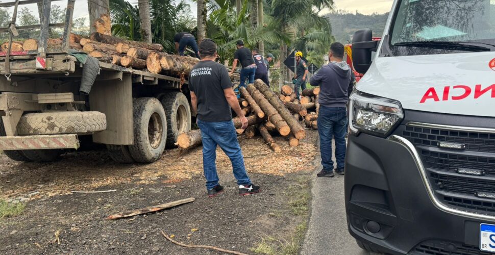 Caminhão carregado com toras de madeira colide com árvores na SC-390 em Lauro Müller