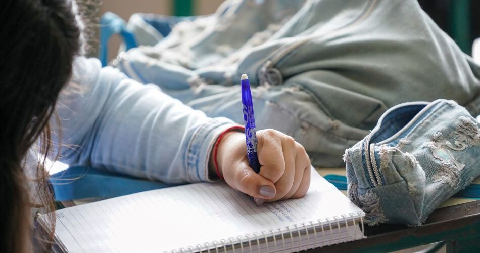 Educação lança simulador de Índice de Carência online para os programas Universidade Gratuita e Fumdesc