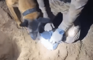 Polícia encontra drogas enterradas e prende suspeito em Araranguá