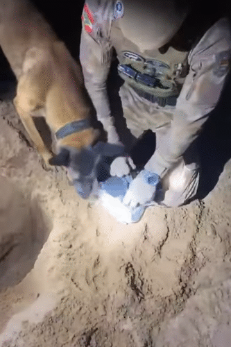 Polícia encontra drogas enterradas e prende suspeito em Araranguá
