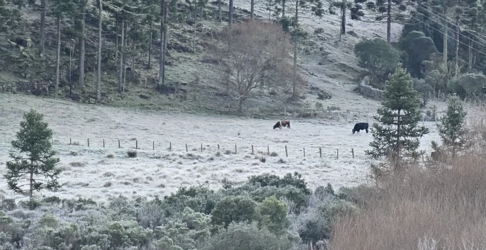 Bom Jardim da Serra amanhece coberta por geada e registra temperaturas negativas nesta terça-feira