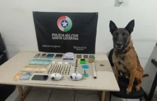 Jovem é preso com drogas, munições e dinheiro em Turvo