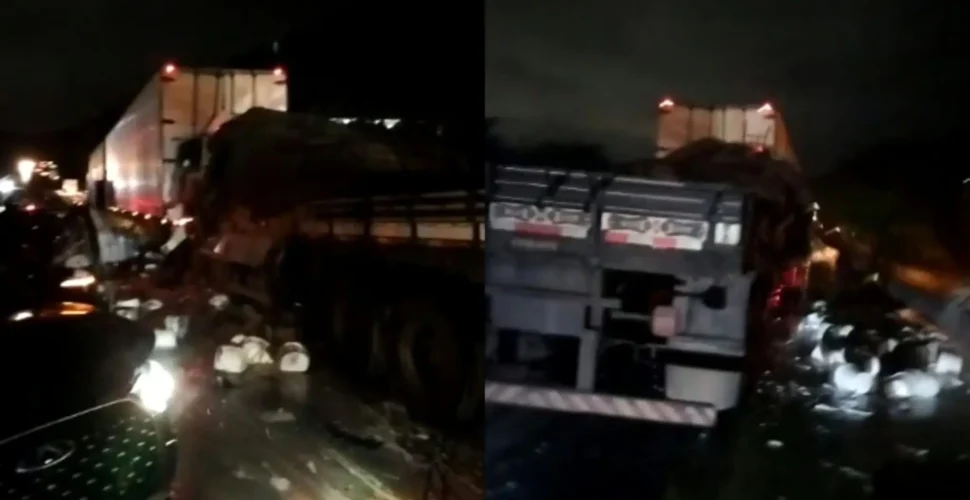 Caminhoneiro de Criciúma morre em colisão com cinco veículos na BR-101 em Joinville