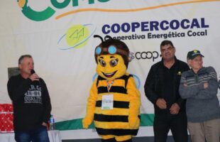 Abelha Mel: nova mascote da Coopercocal é símbolo potente de inclusão para crianças com autismo