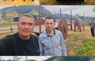 Pedras Grandes (SC) apresenta monumento de Carro de Boi que busca título mundial no Guinness