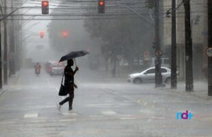 Alerta máximo: 49 cidades catarinenses – aqui do sul também – em risco iminente de deslizamentos e ventos destrutivos
