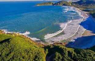 Do Surf ao Sossego: A História da Praia do Rosa, o Refúgio de Hippies que Virou Santuário de Baleias em SC