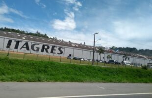 Mega Leilão em Tubarão: Área da Ex-Itagres sai por R$ 44,8 mi após falência