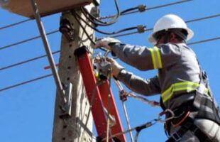 STJ dá vitória a MP e permite que Celesc corte energia em áreas de preservação no litoral de SC