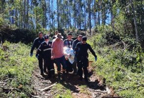 Trabalhador fica ferido após ser atingido por tronco de eucalipto em Armazém