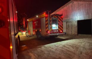 Incêndio ameaça milhares de pintinhos recém-nascidos em aviário de Urussanga