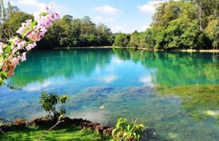 Único nas Américas: o Rio Araranguá que muda de cor em Santa Catarina