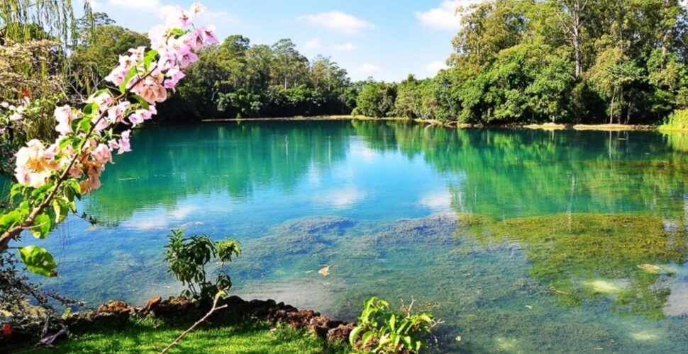 Único nas Américas: o Rio Araranguá que muda de cor em Santa Catarina