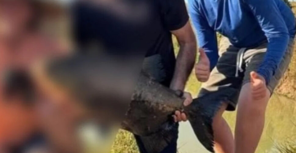 Adolescente de 13 anos é identificado como vítima de atropelamento em Treviso