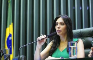 Debates sobre a APA da Baleia Franca avançam com encontros em Brasília