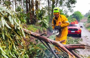 Temporais causam mais de 150 ocorrências em Santa Catarina, segundo Corpo de Bombeiros