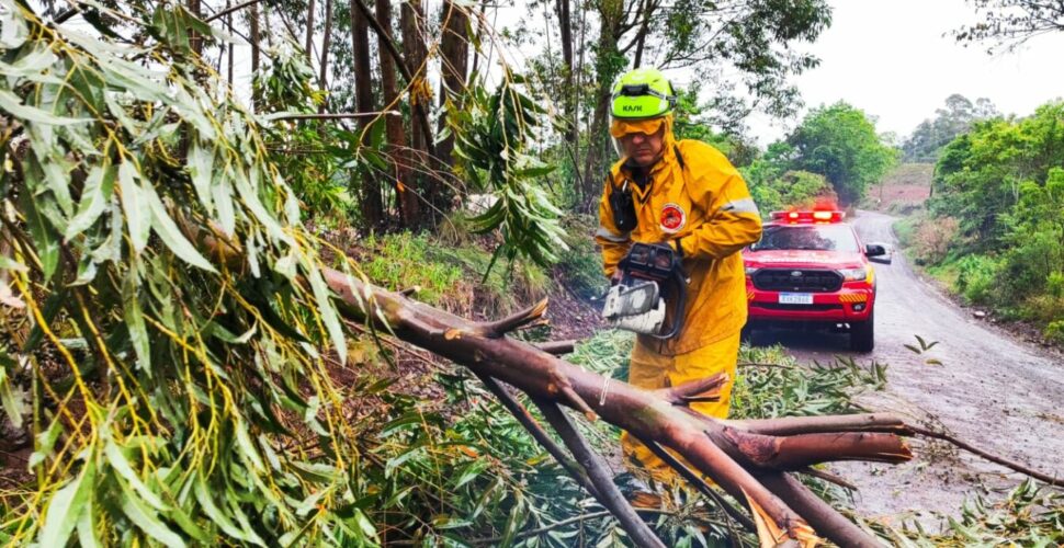 Temporais causam mais de 150 ocorrências em Santa Catarina, segundo Corpo de Bombeiros