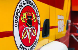 Adolescentes ficam feridas após ataque de cão abandonado em escola de Criciúma