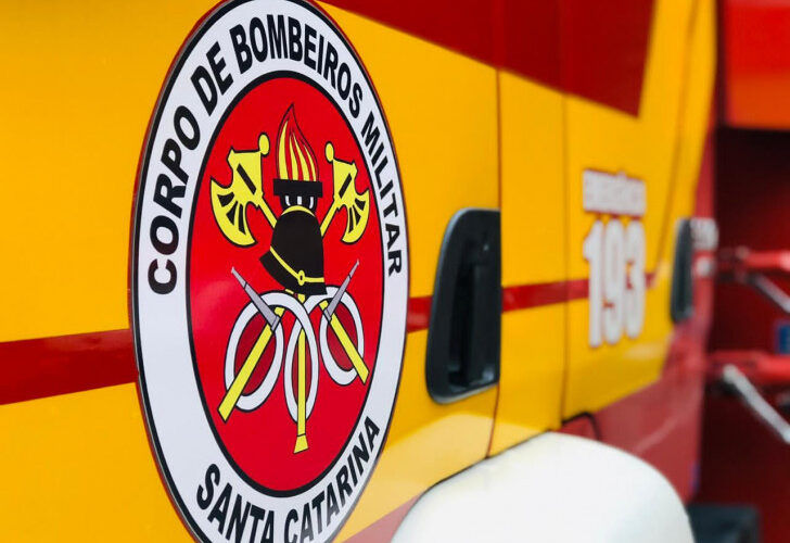Adolescentes ficam feridas após ataque de cão abandonado em escola de Criciúma