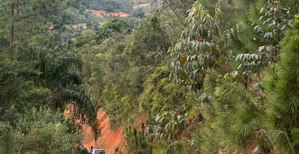 Caminho de Fé e Superação: Peregrinos Seguem na Chuva em Jornada até Santa Paulina