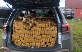 PRF apreende 500 Kg de maconha em carro roubado na BR-101, em Itajaí