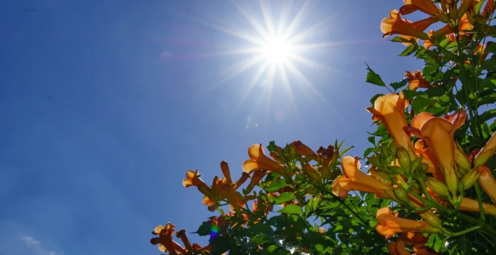 Semana começa com sol e termina com chuva na região Sul de SC