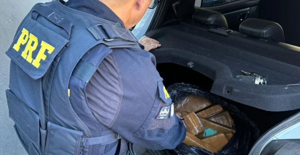 Motorista é flagrado com maconha e haxixe durante fiscalização na BR-101