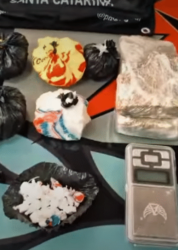 PM apreende cocaína e maconha com auxílio de cão farejador em Tubarão