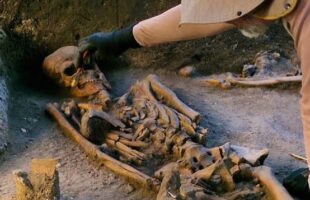 USP retoma escavações em um dos maiores cemitérios monumentais das Américas