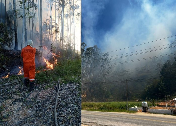 Bombeiros levam quase seis horas para controlar grande incêndio em Treze de Maio