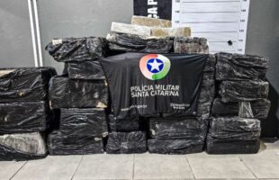 Caminhão com meia tonelada de maconha é apreendido pela PM na BR-101, em Tubarão