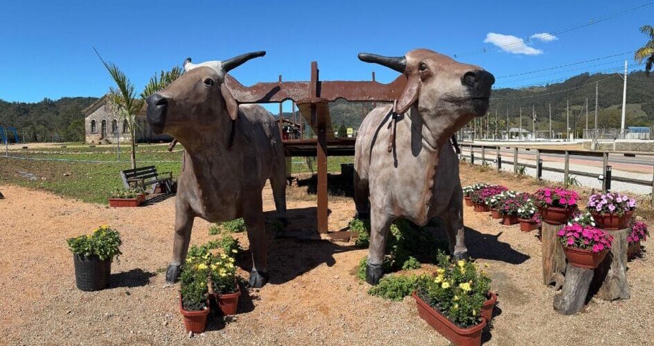 Carro de Boi de 15 Toneladas: Pedras Grandes (SC) Lança Monumento para Entrar no Guinness World Records