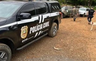 Operação conjunta combate caça ilegal em Jacinto Machado