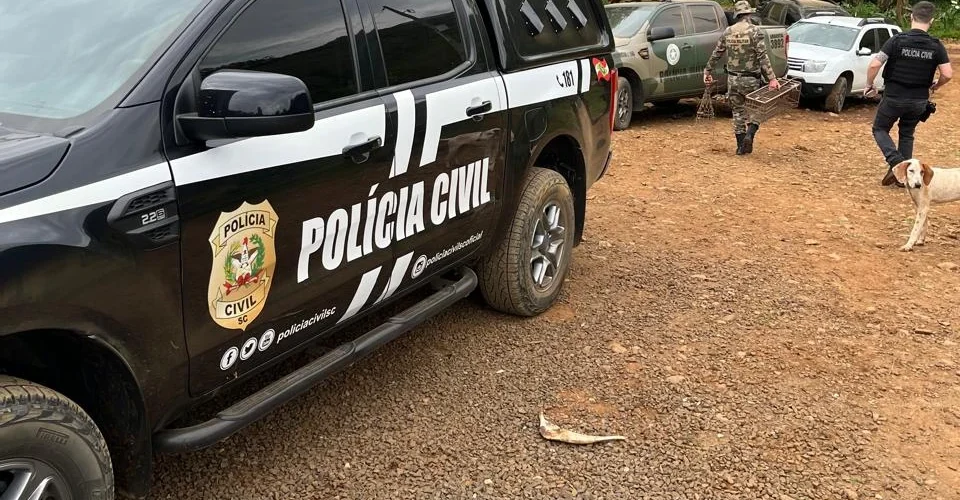 Operação conjunta combate caça ilegal em Jacinto Machado