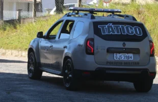 Fiscalização apreende pássaros silvestres mantidos irregularmente em Criciúma