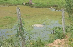 Veículo cai em rio em Termas do Gravatal e mãe e filha são resgatadas