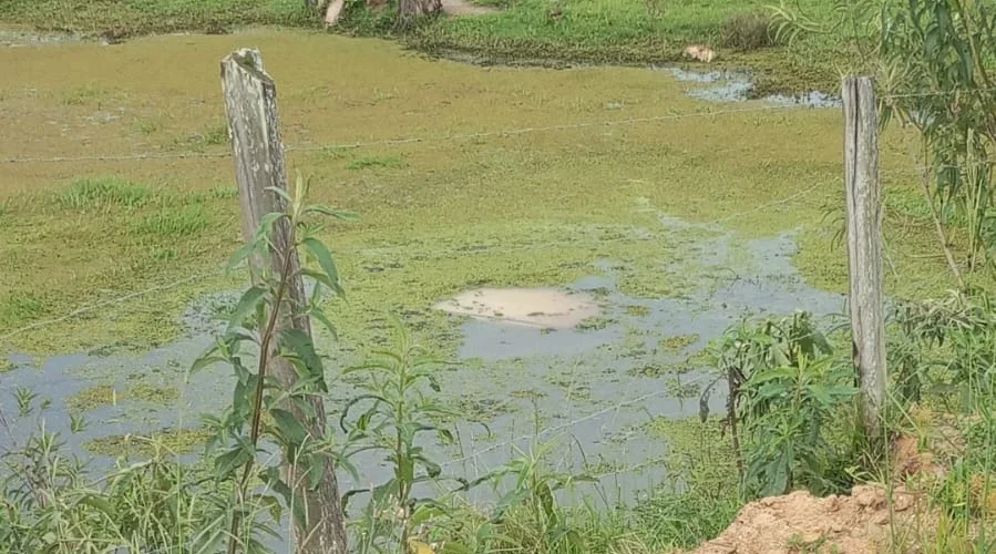 Veículo cai em rio em Termas do Gravatal e mãe e filha são resgatadas