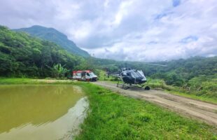 Trabalhador morre após choque anafilático por picada de inseto em área de mata em Treviso