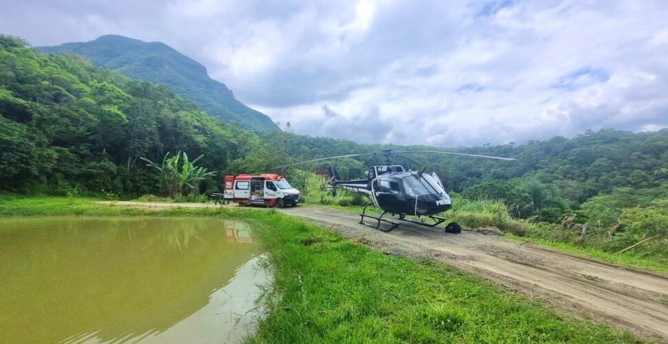 Trabalhador morre após choque anafilático por picada de inseto em área de mata em Treviso