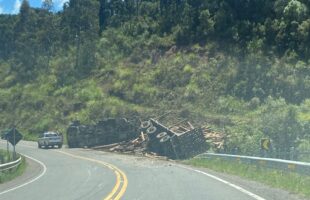Caminhão com toras tomba na serra catarinense após falha nos freios