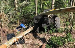 Trabalhador morre prensado por árvore durante serviço de corte em Jaguaruna