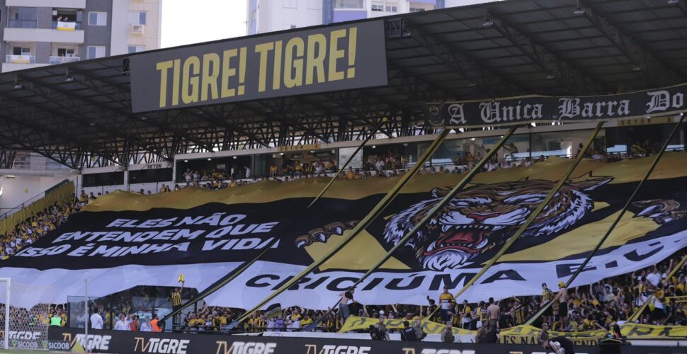 Tigre vence o Botafogo-SP e volta ao G4 da Série B