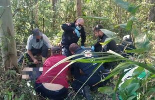 Homem tem quadro grave após ser esmagado por árvore durante serviço